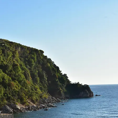 Rovoelea